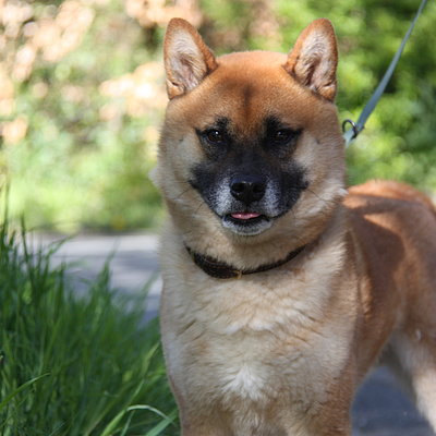 Yuki