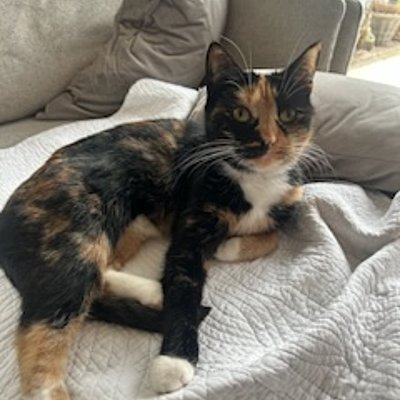 Milla